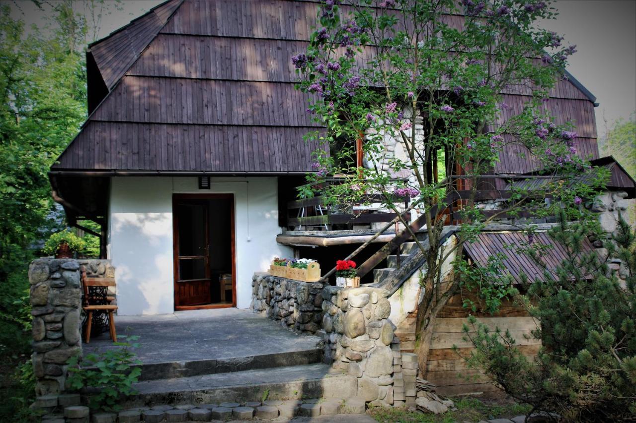 Willa Gawra Zakopane Exterior foto